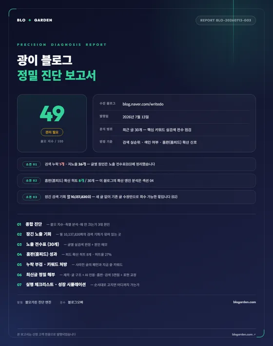 정밀 진단 보고서 표지 미리보기 — 블로그명과 현재 위치, 소견 3줄